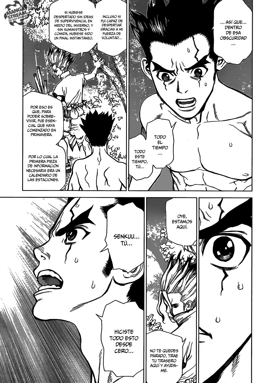 Read Dr Stone ES Manga Online