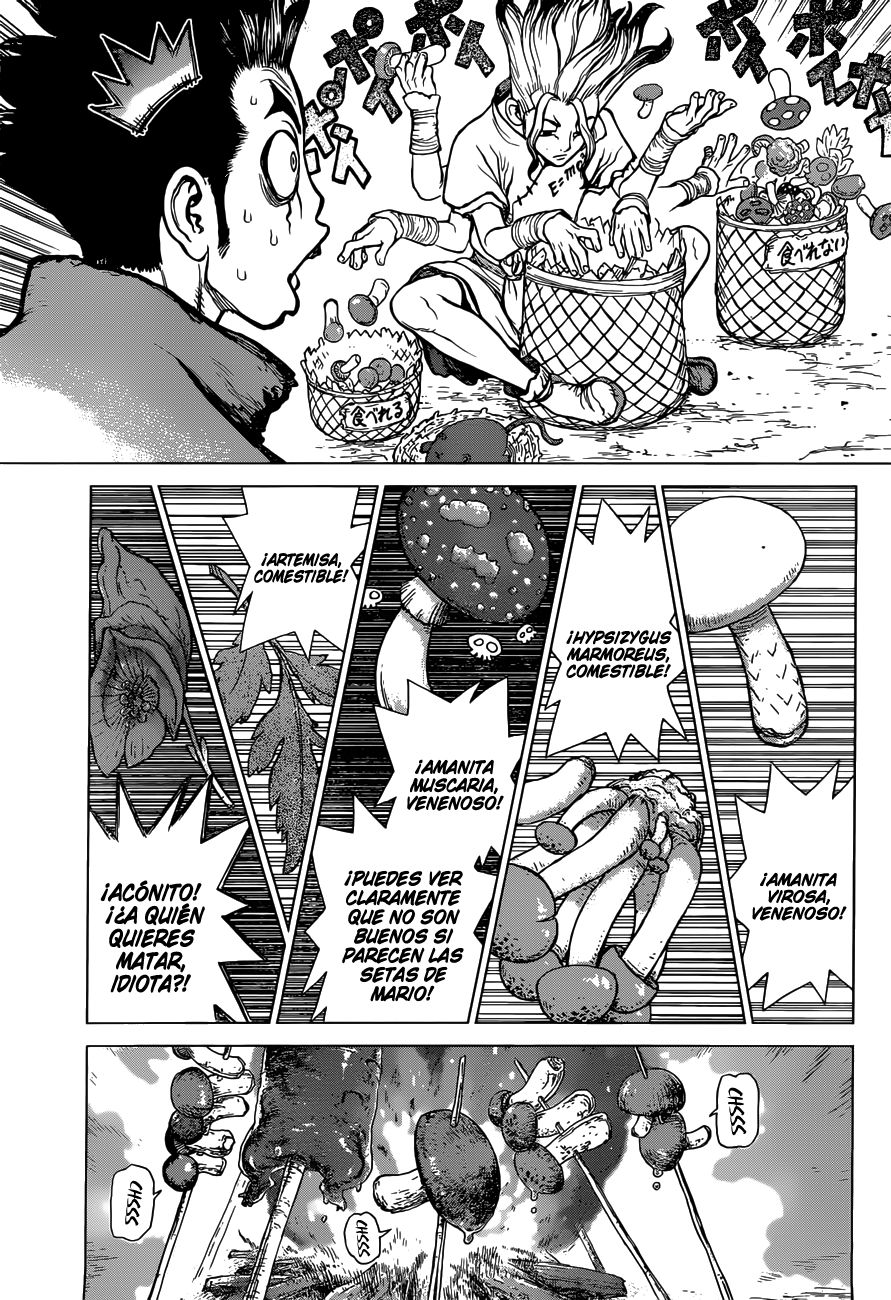 Read Dr Stone ES Manga Online