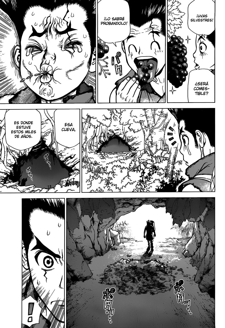 Read Dr Stone ES Manga Online