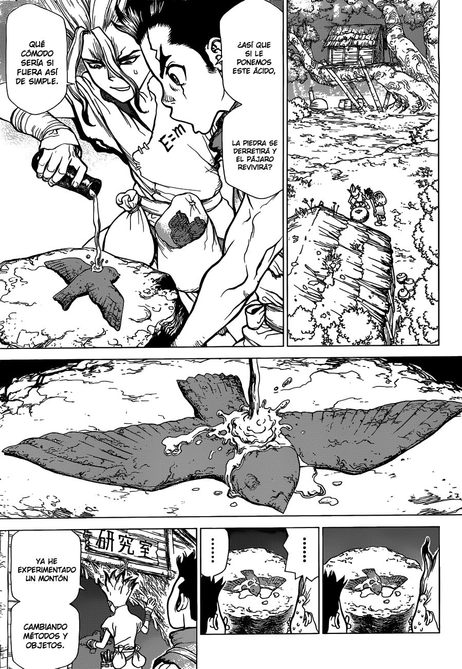 Read Dr Stone ES Manga Online