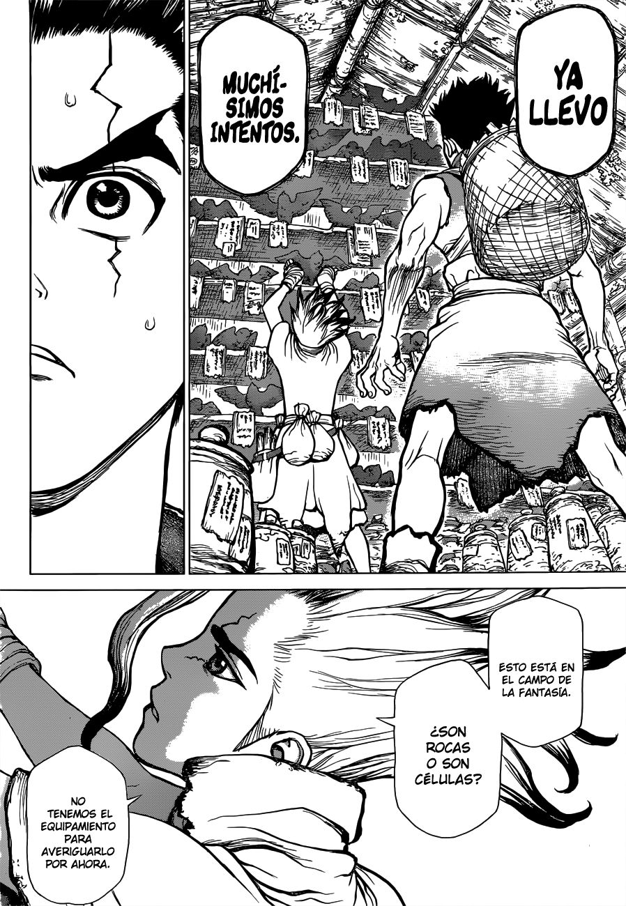 Read Dr Stone ES Manga Online