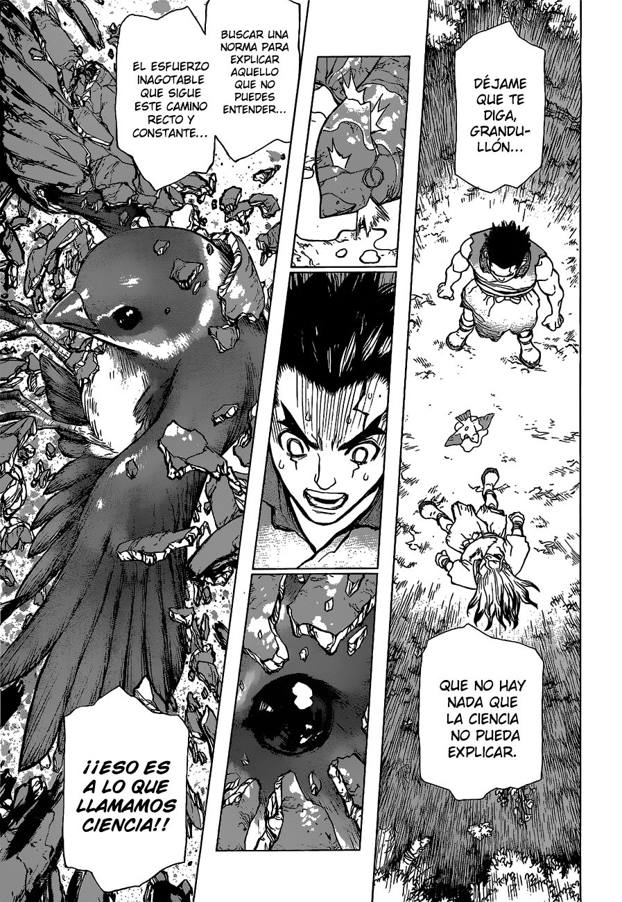 Read Dr Stone ES Manga Online