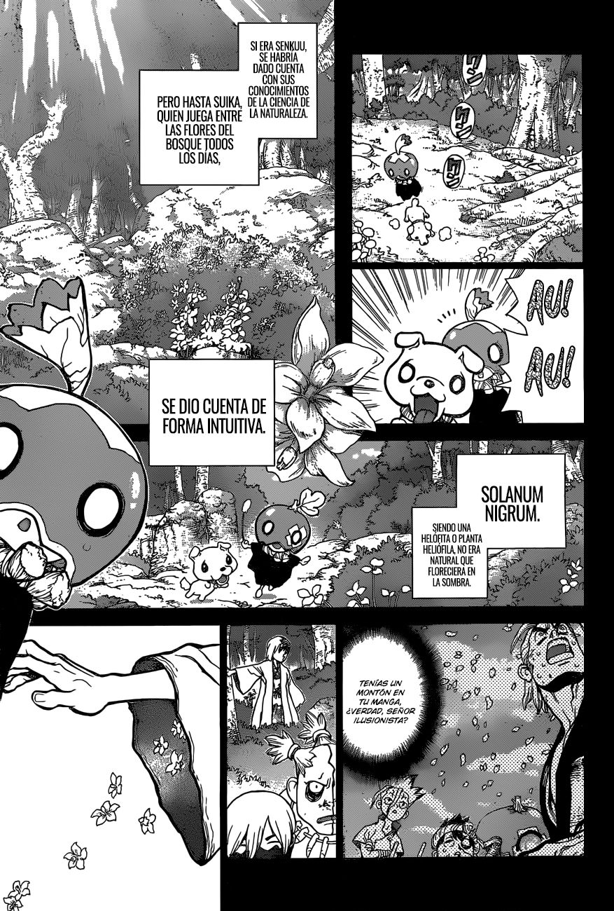 Read Dr Stone ES Manga Online