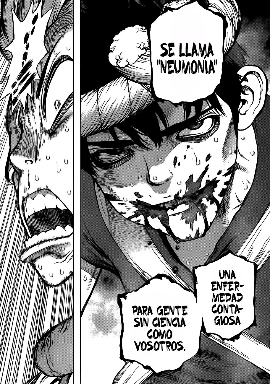 Read Dr Stone ES Manga Online