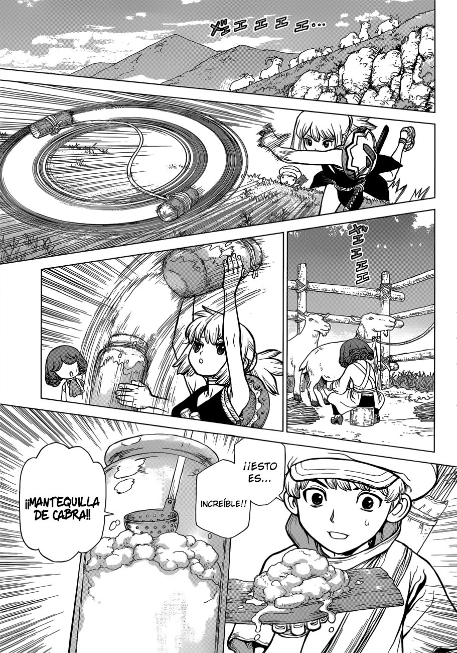 Read Dr Stone ES Manga Online