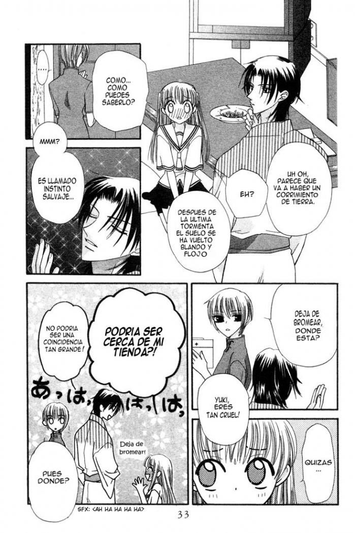 Read Fruits Basket ES Manga Online