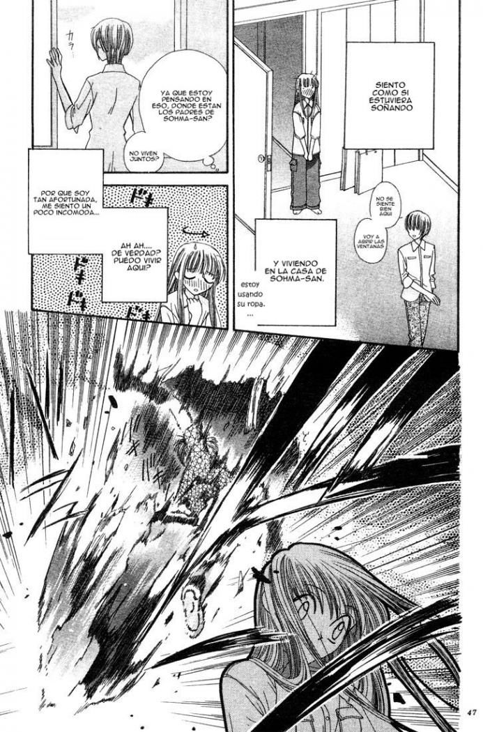Read Fruits Basket ES Manga Online