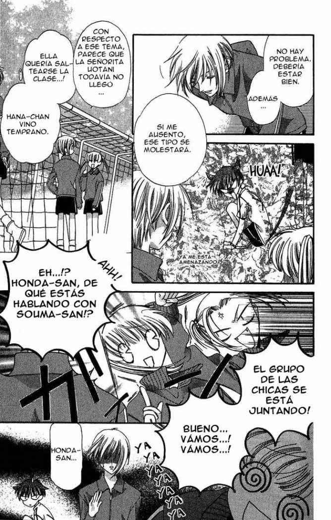 Read Fruits Basket ES Manga Online