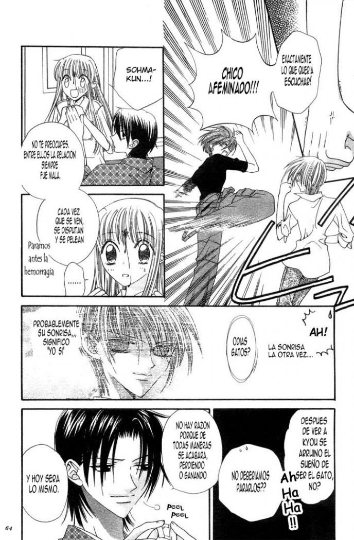 Read Fruits Basket ES Manga Online
