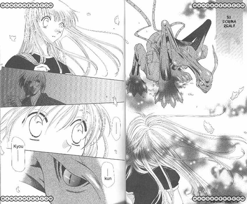 Read Fruits Basket ES Manga Online