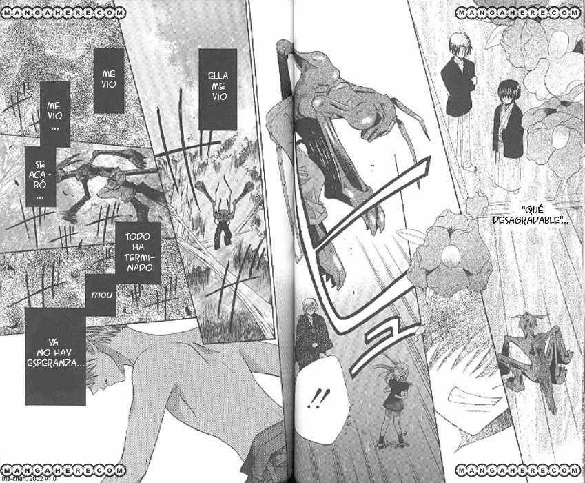 Read Fruits Basket ES Manga Online