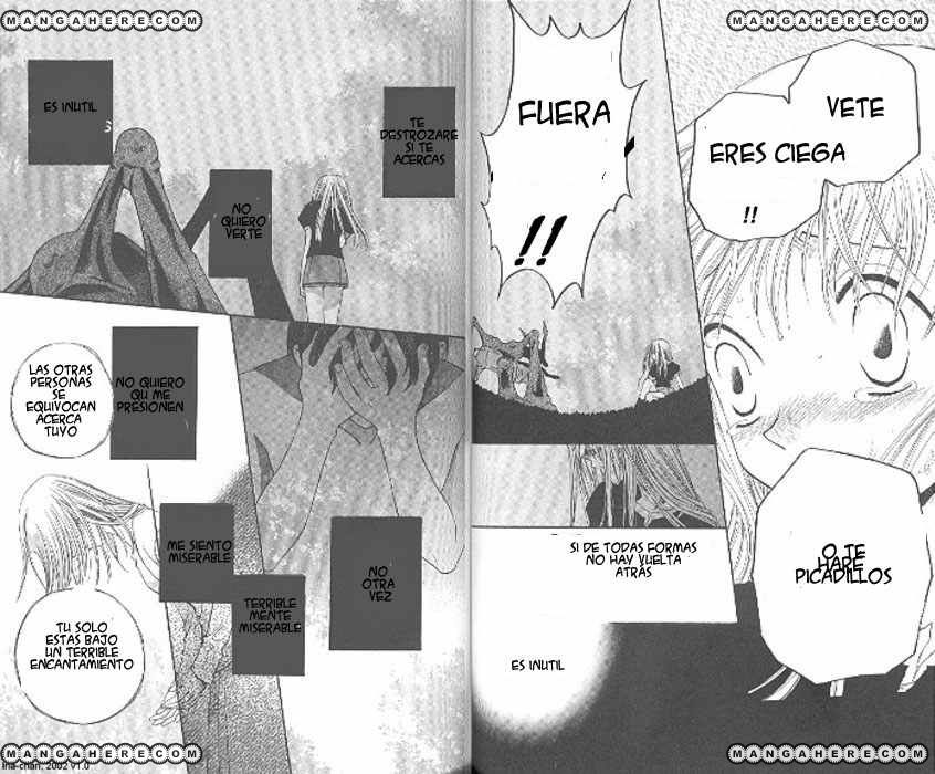 Read Fruits Basket ES Manga Online