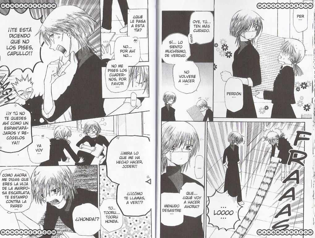 Read Fruits Basket ES Manga Online