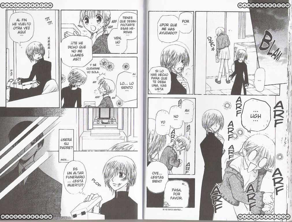 Read Fruits Basket ES Manga Online