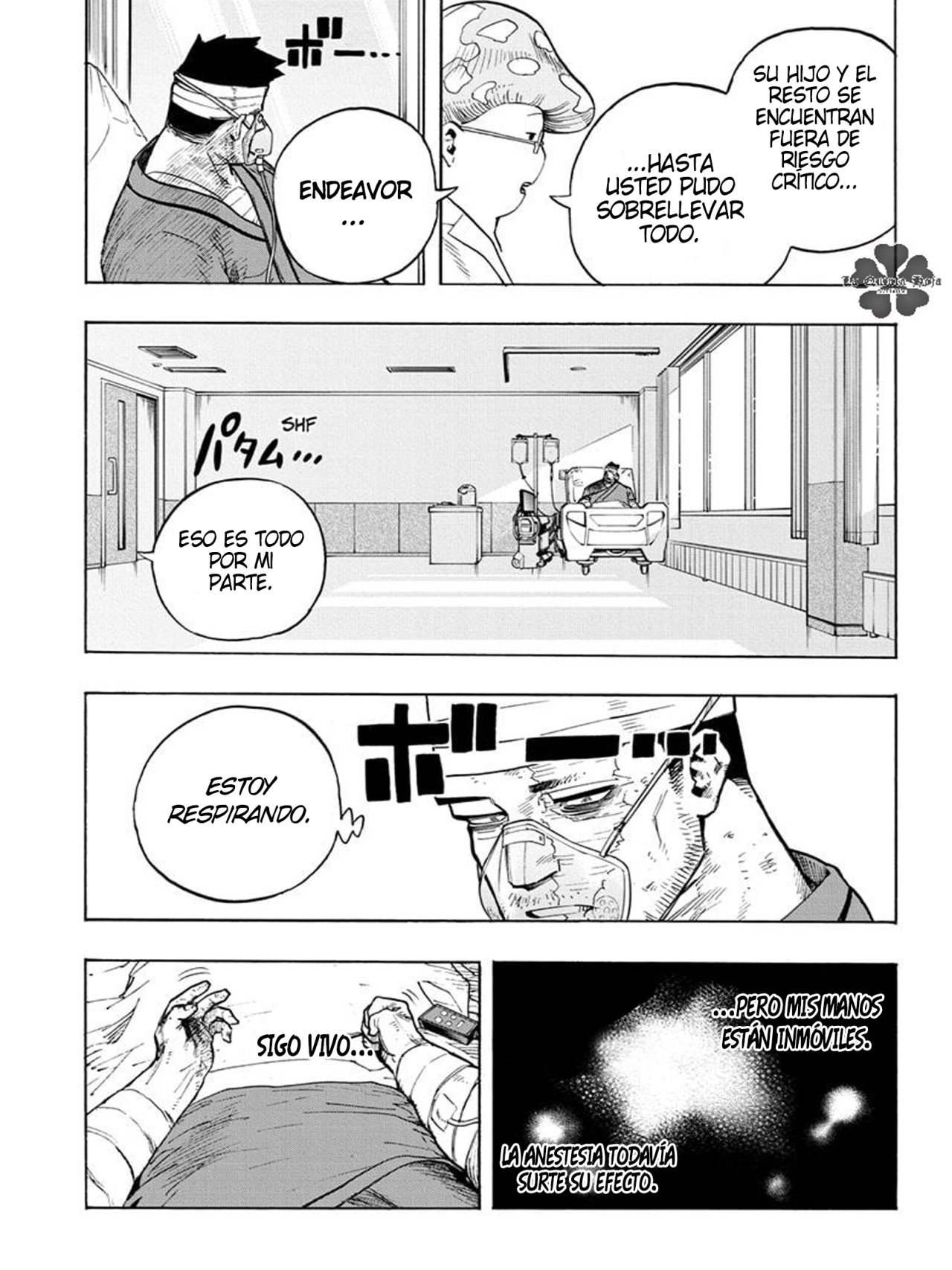 Read MY Hero Academia ES Manga Online
