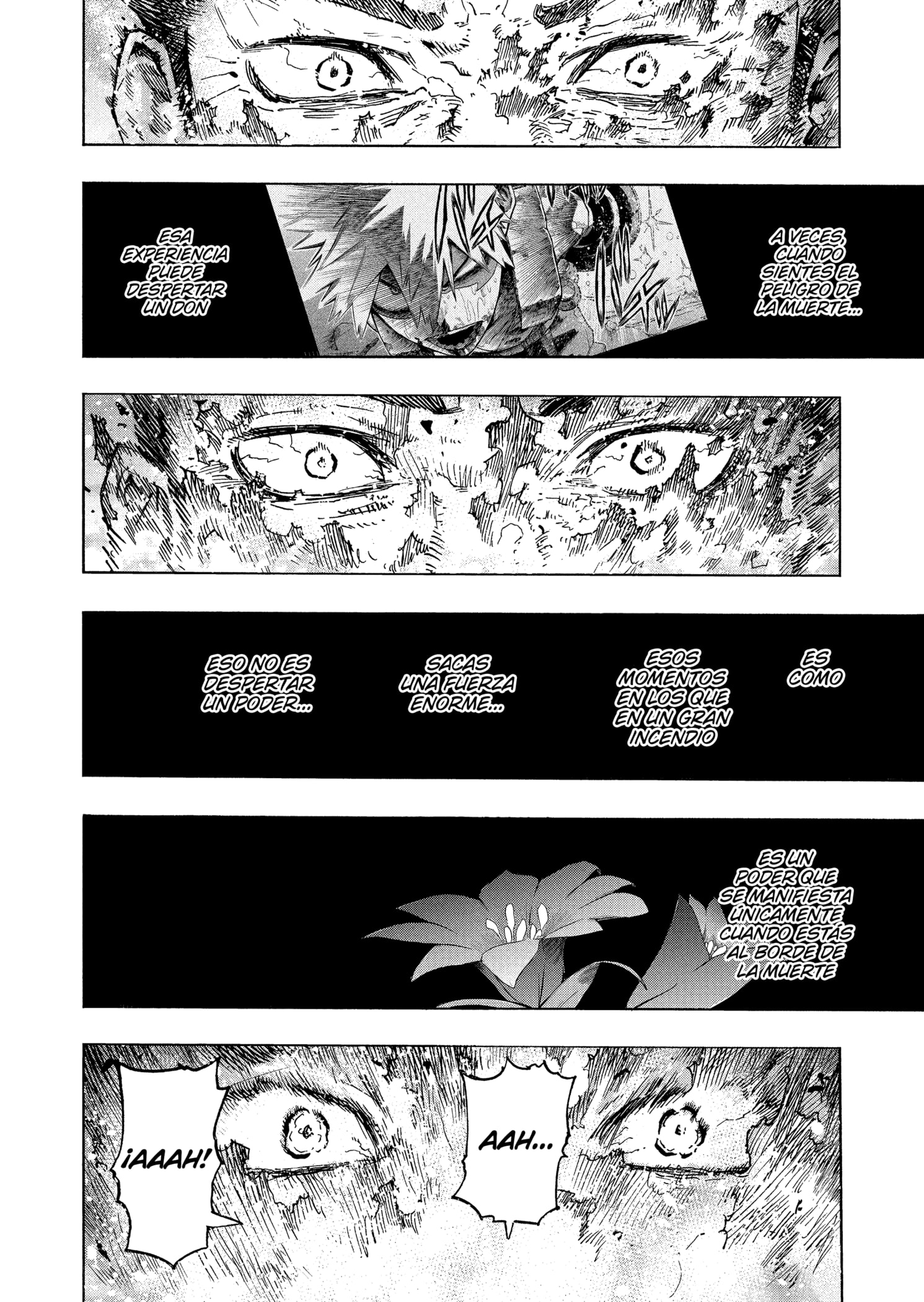 Read MY Hero Academia ES Manga Online
