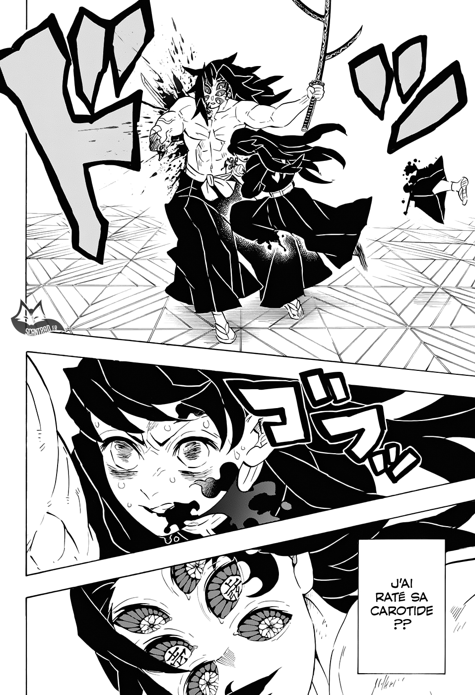 Read Demon Slayer FR Manga Online