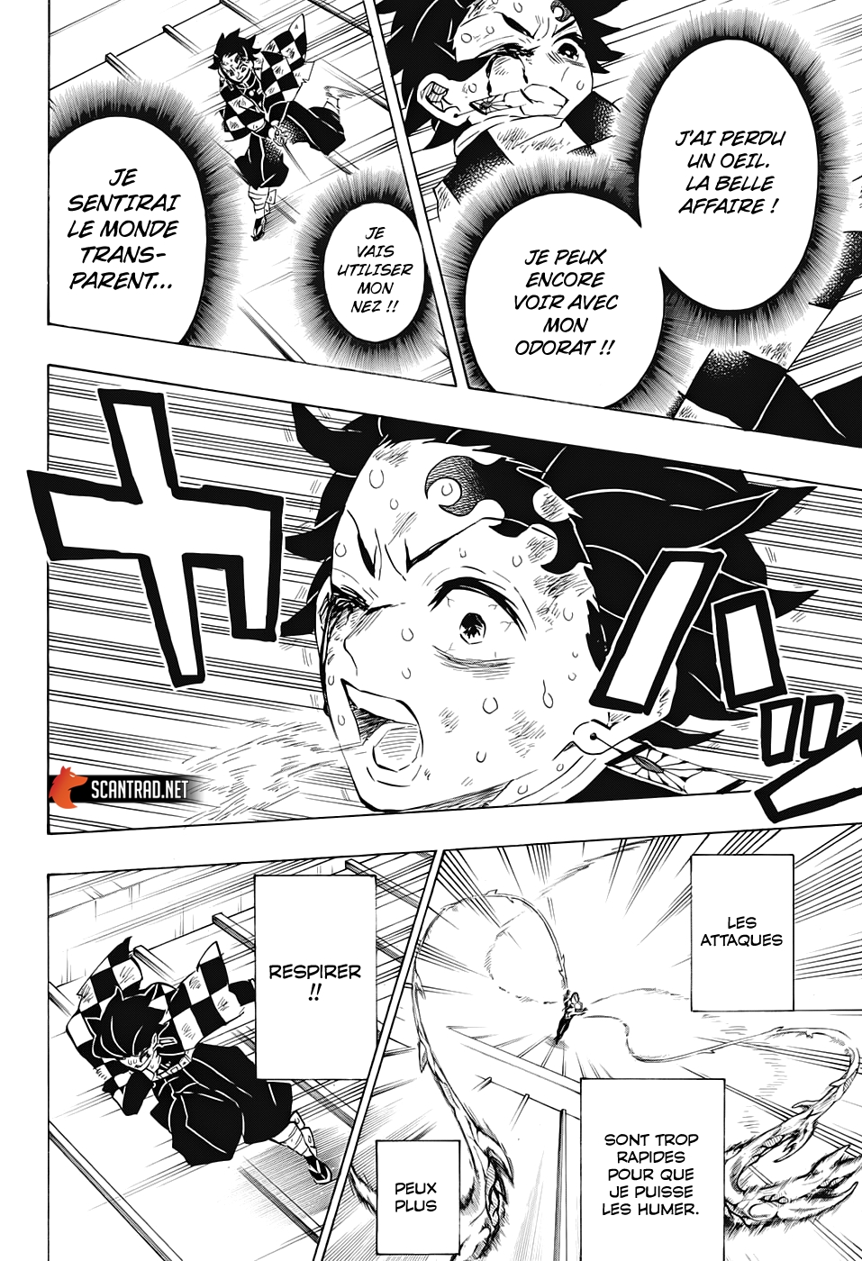 Read Demon Slayer FR Manga Online