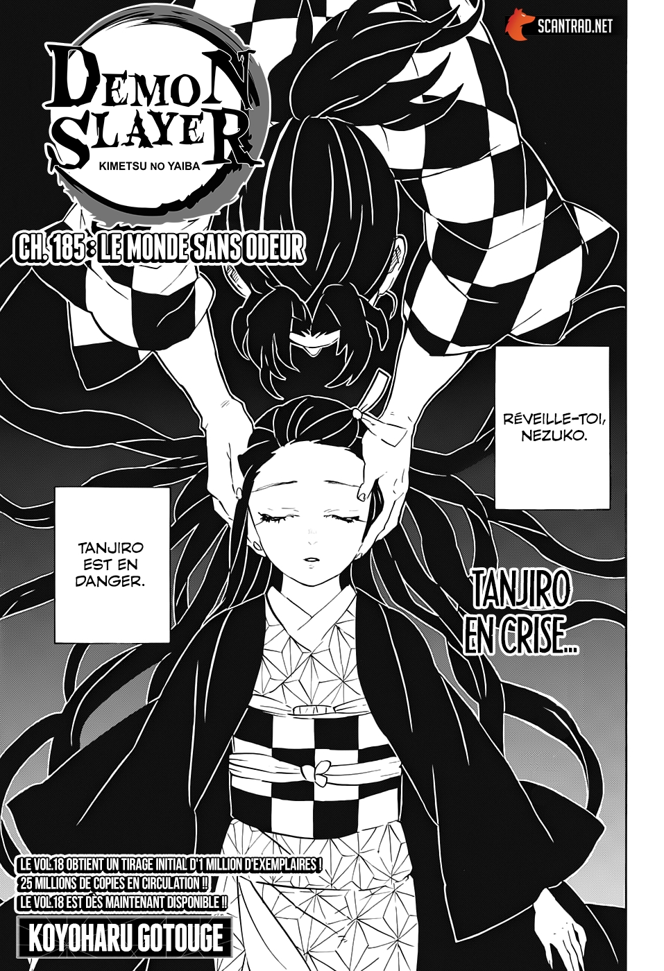 Read Demon Slayer FR Manga Online