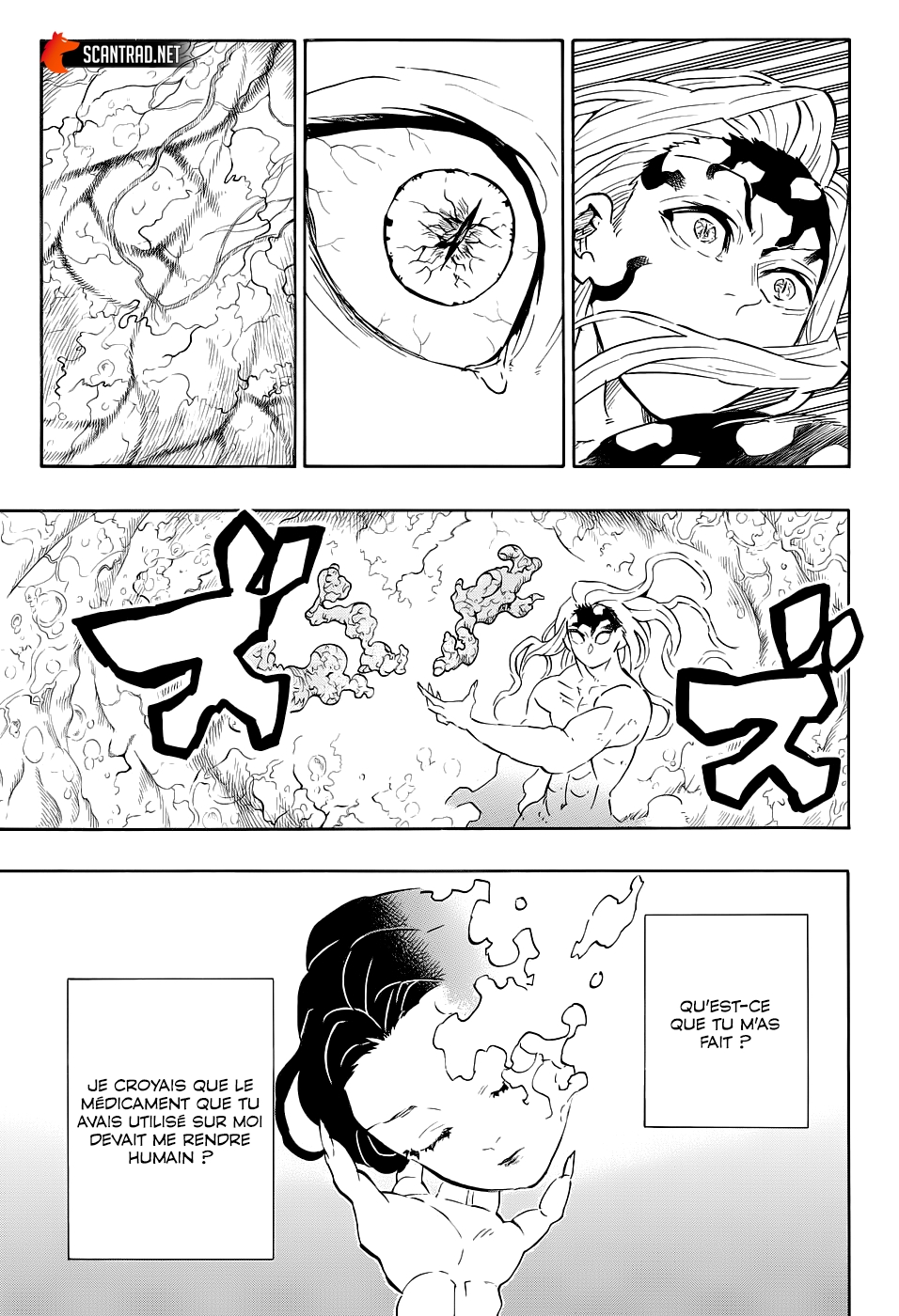 Read Demon Slayer FR Manga Online