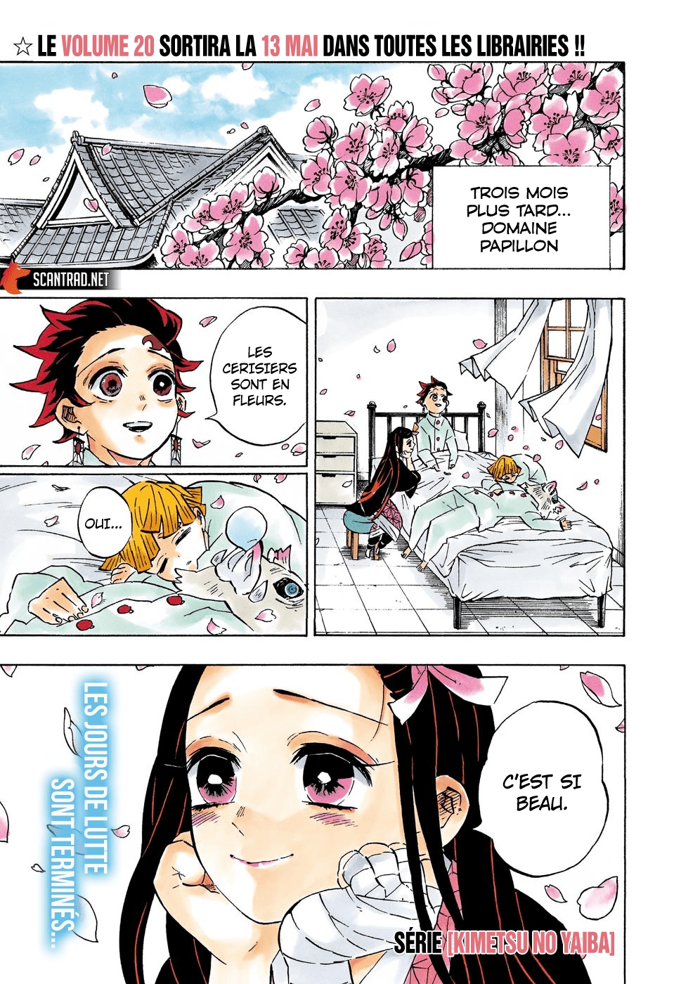 Read Demon Slayer FR Manga Online