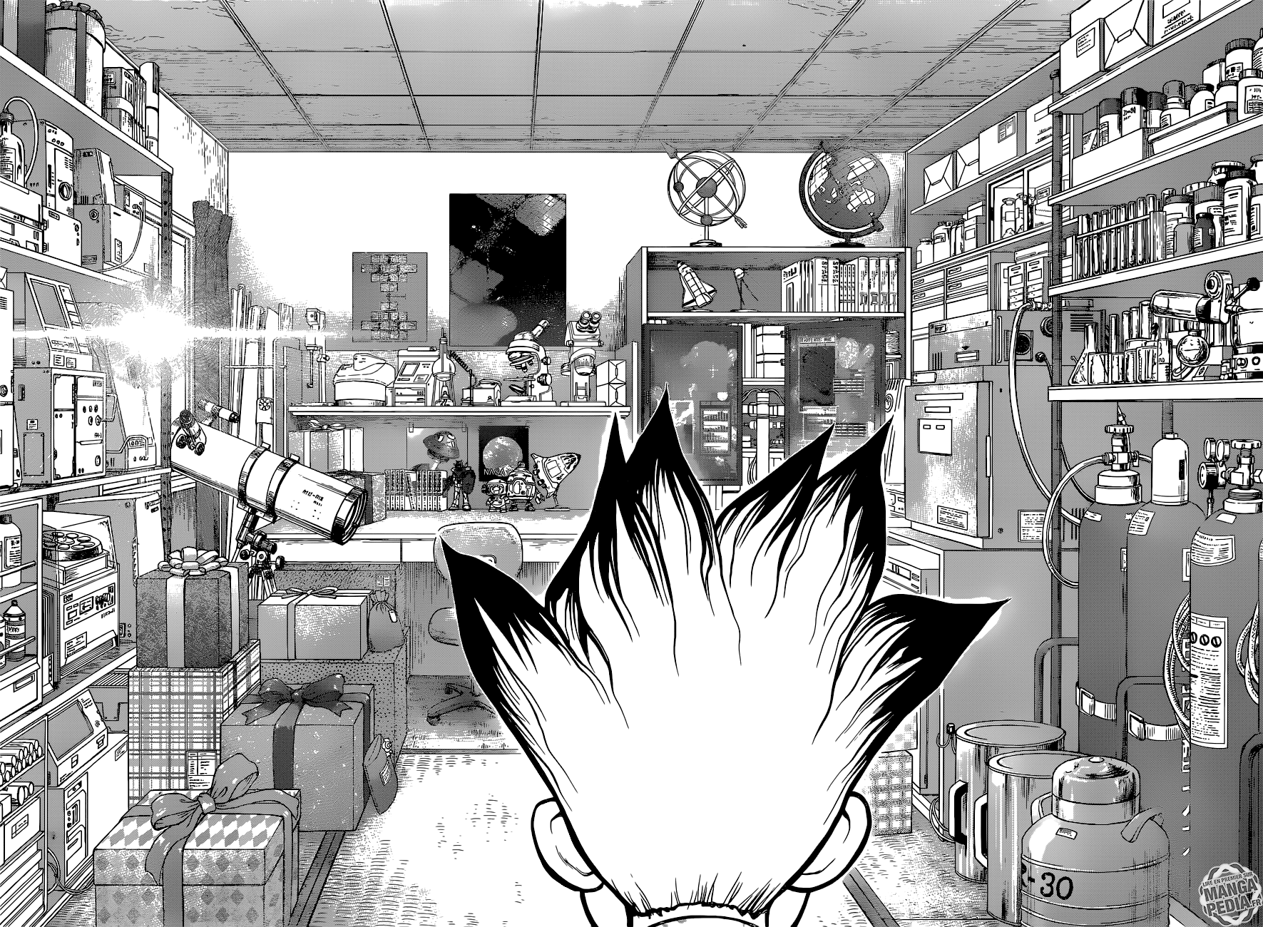 Read Dr Stone FR Manga Online