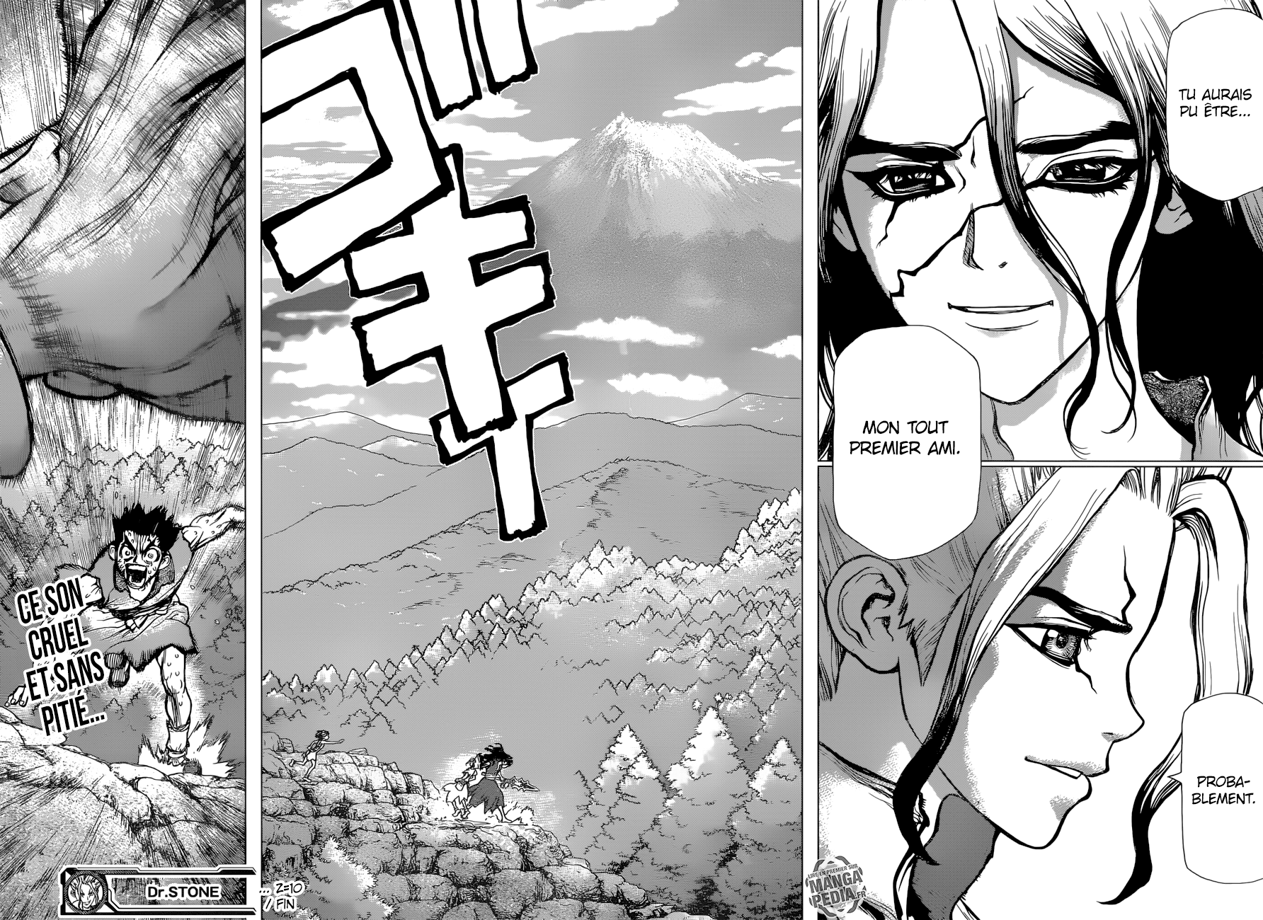 Read Dr Stone FR Manga Online