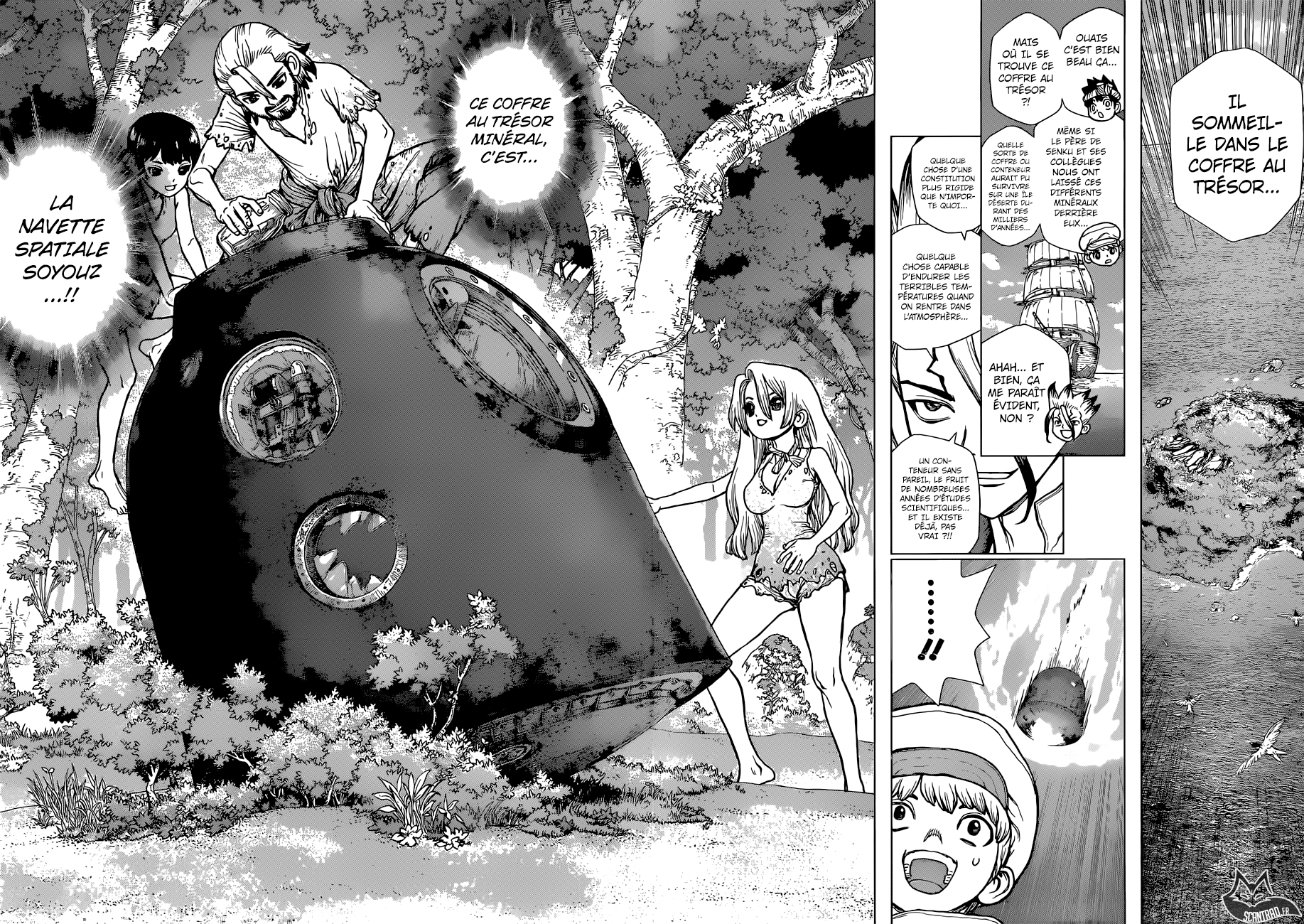 Read Dr Stone FR Manga Online