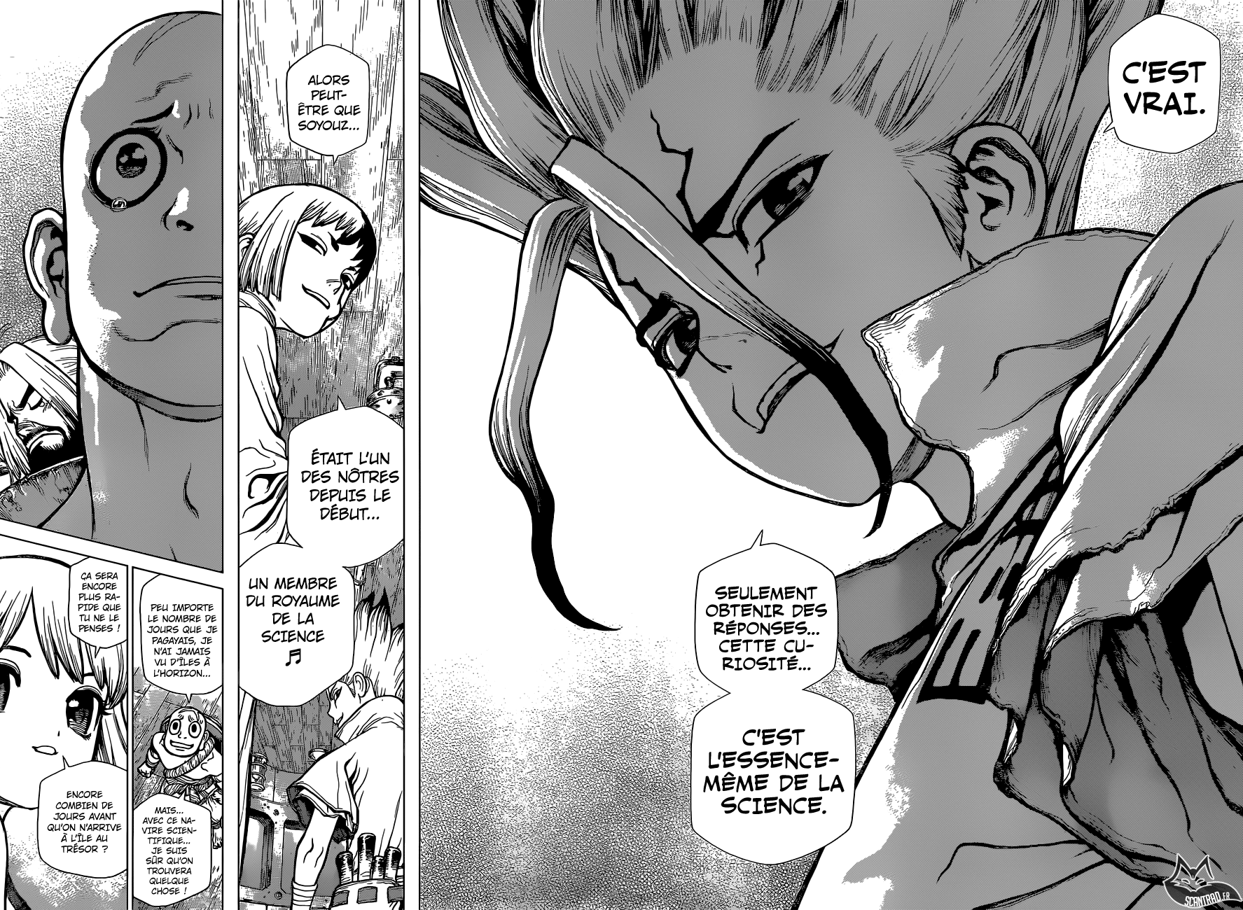 Read Dr Stone FR Manga Online