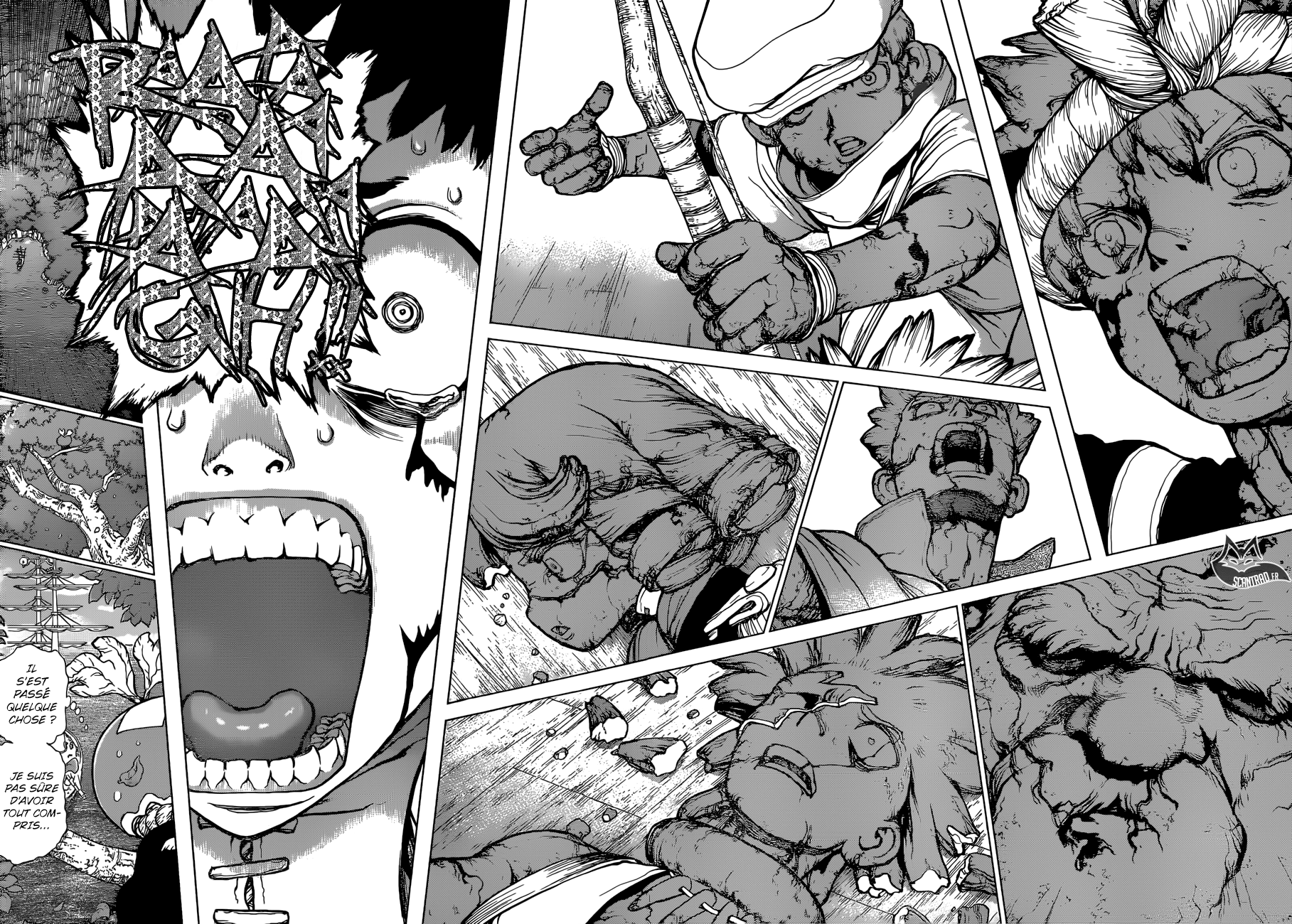Read Dr Stone FR Manga Online