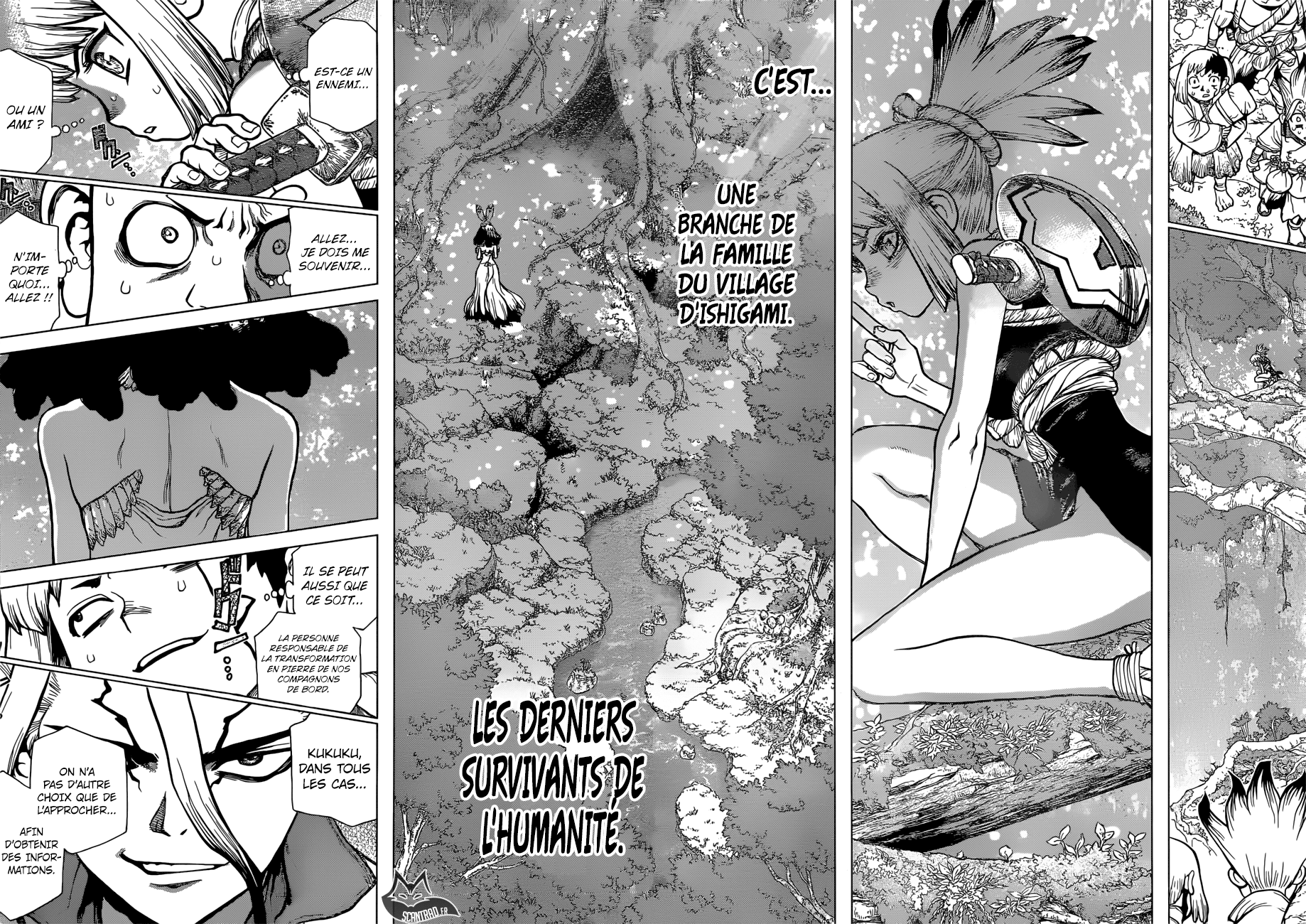 Read Dr Stone FR Manga Online