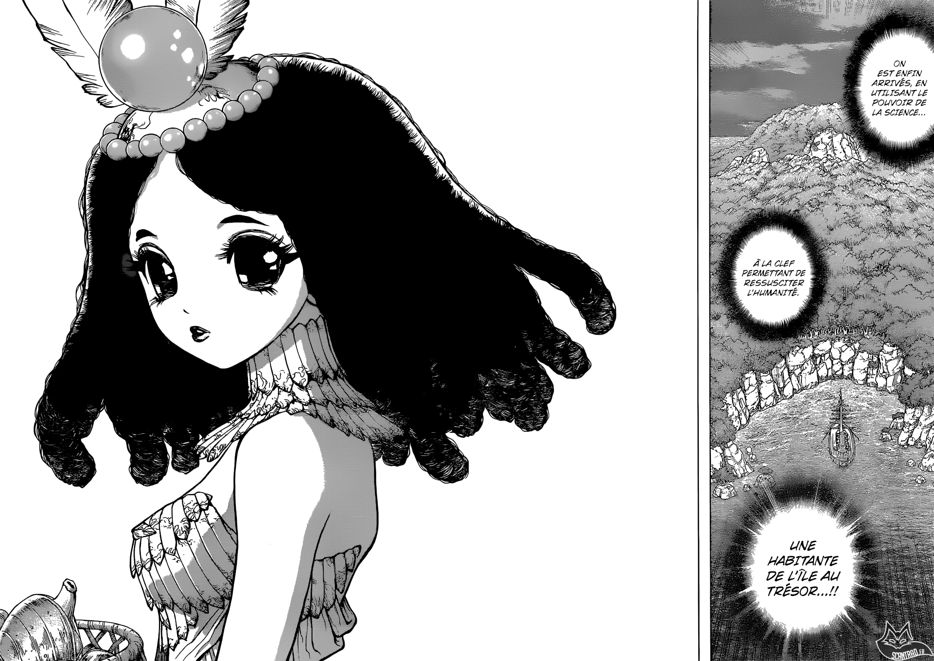 Read Dr Stone FR Manga Online