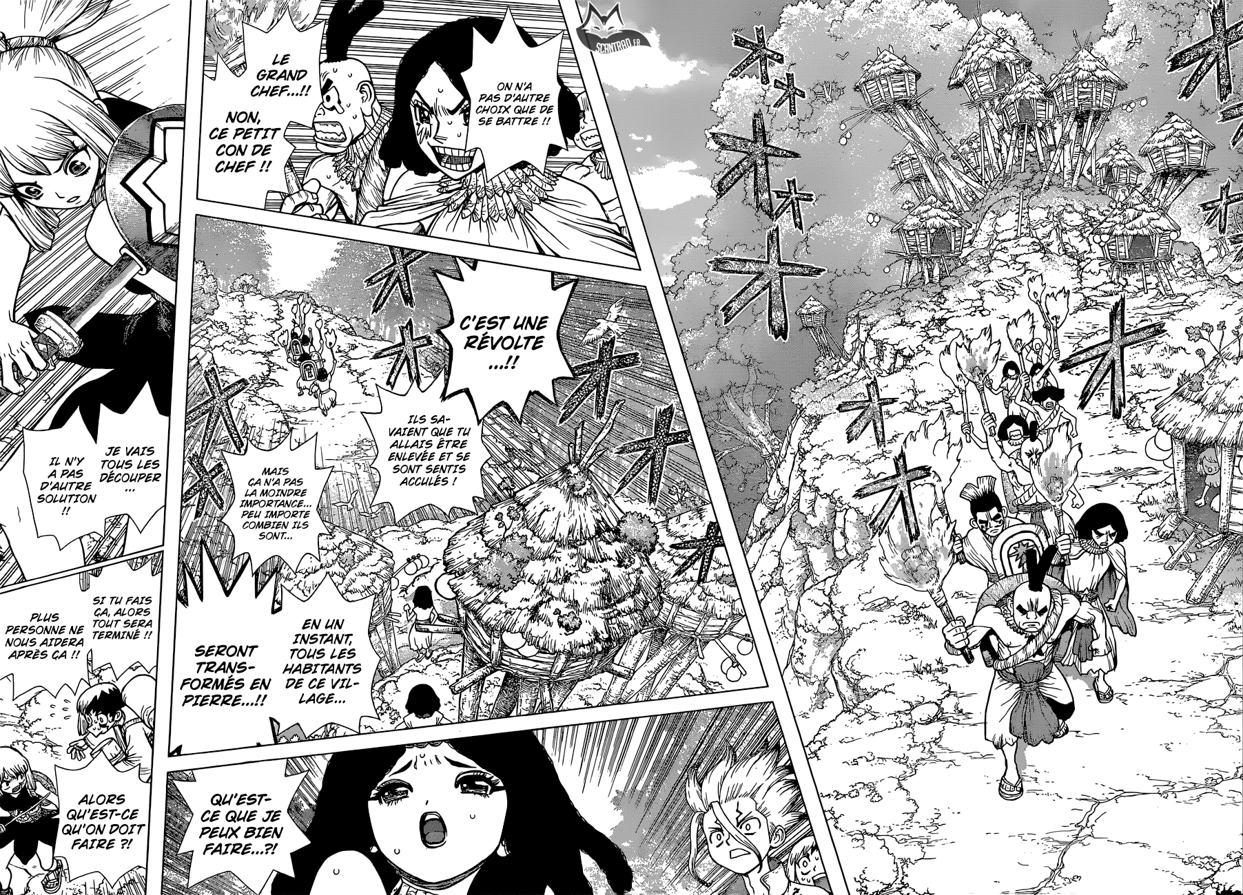 Read Dr Stone FR Manga Online