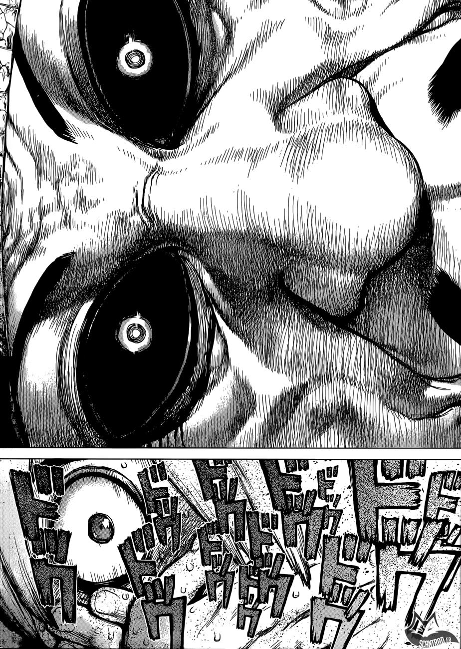 Read Dr Stone FR Manga Online