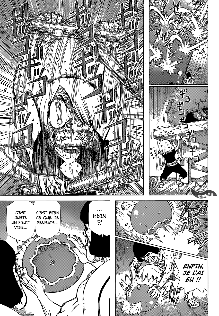Read Dr Stone FR Manga Online