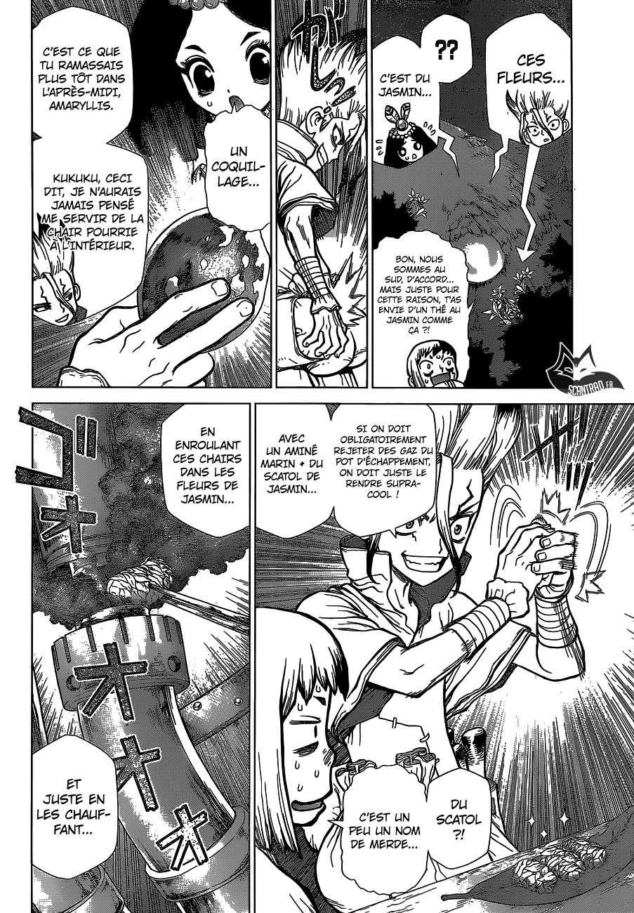 Read Dr Stone FR Manga Online