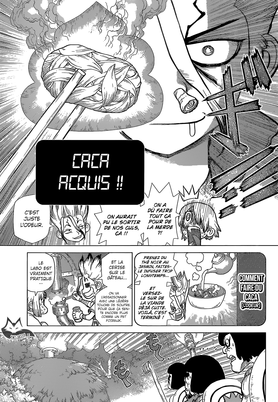 Read Dr Stone FR Manga Online