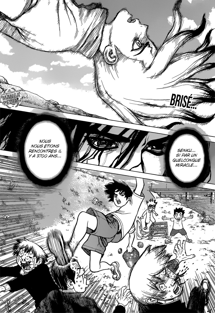 Read Dr Stone FR Manga Online