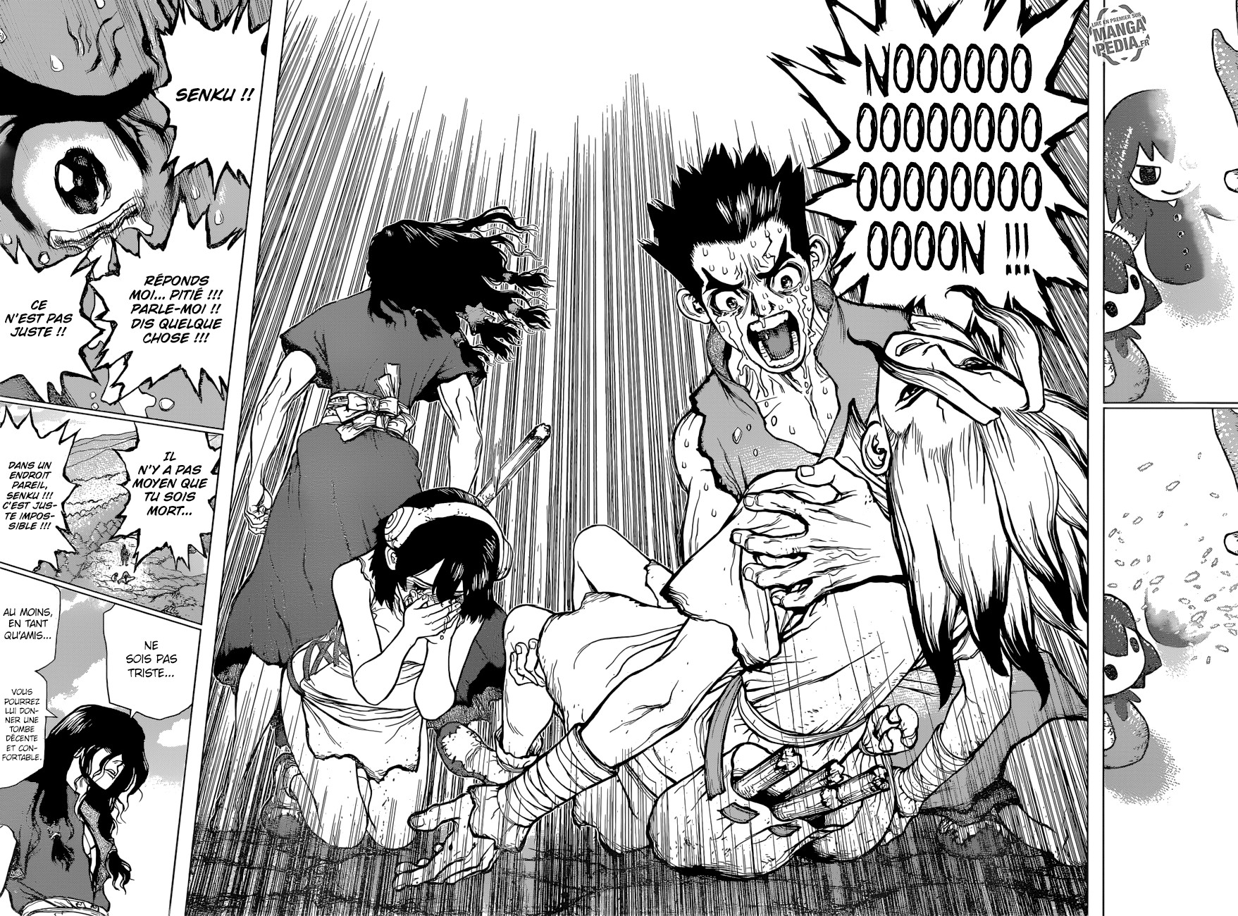 Read Dr Stone FR Manga Online