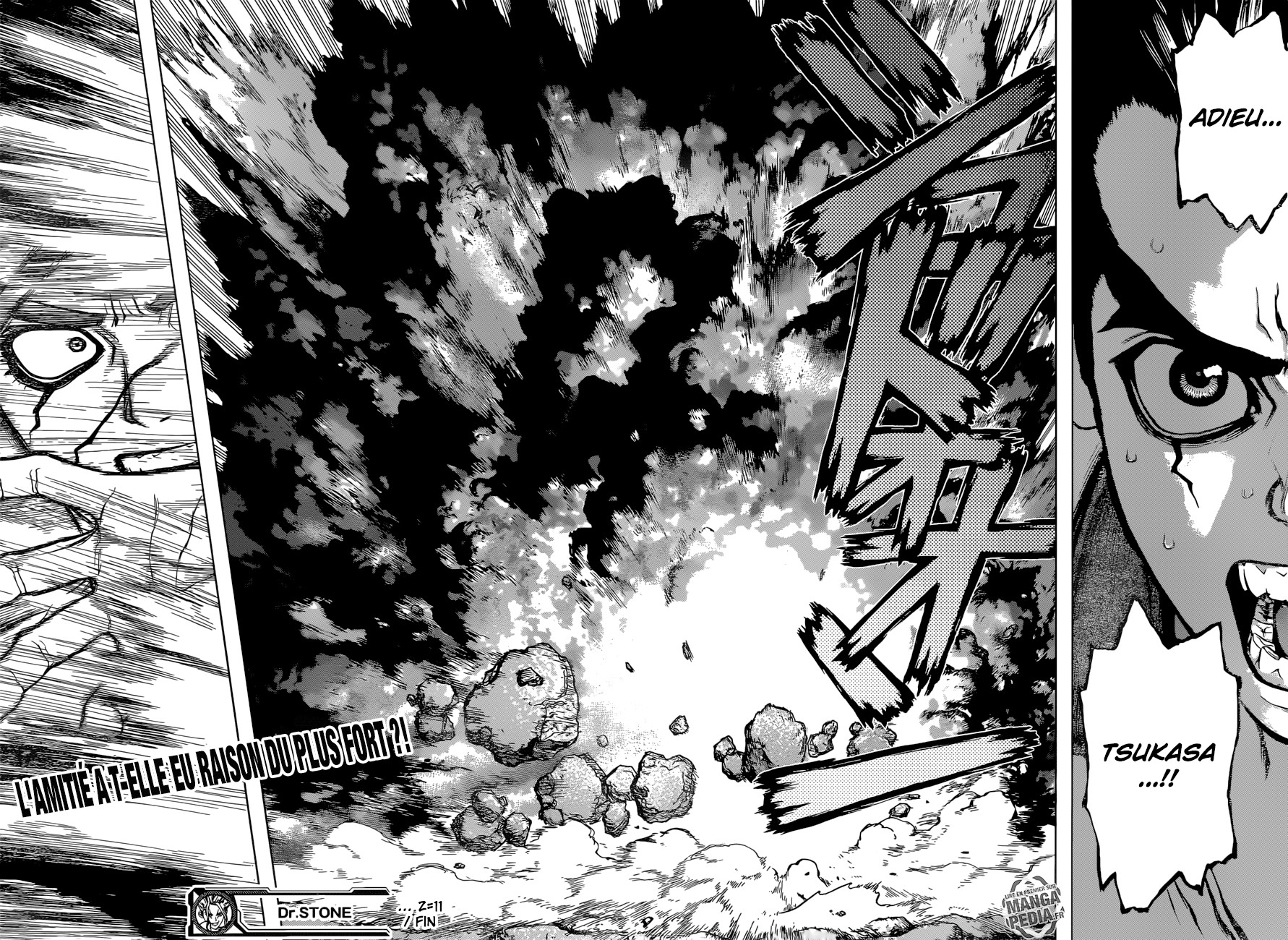 Read Dr Stone FR Manga Online