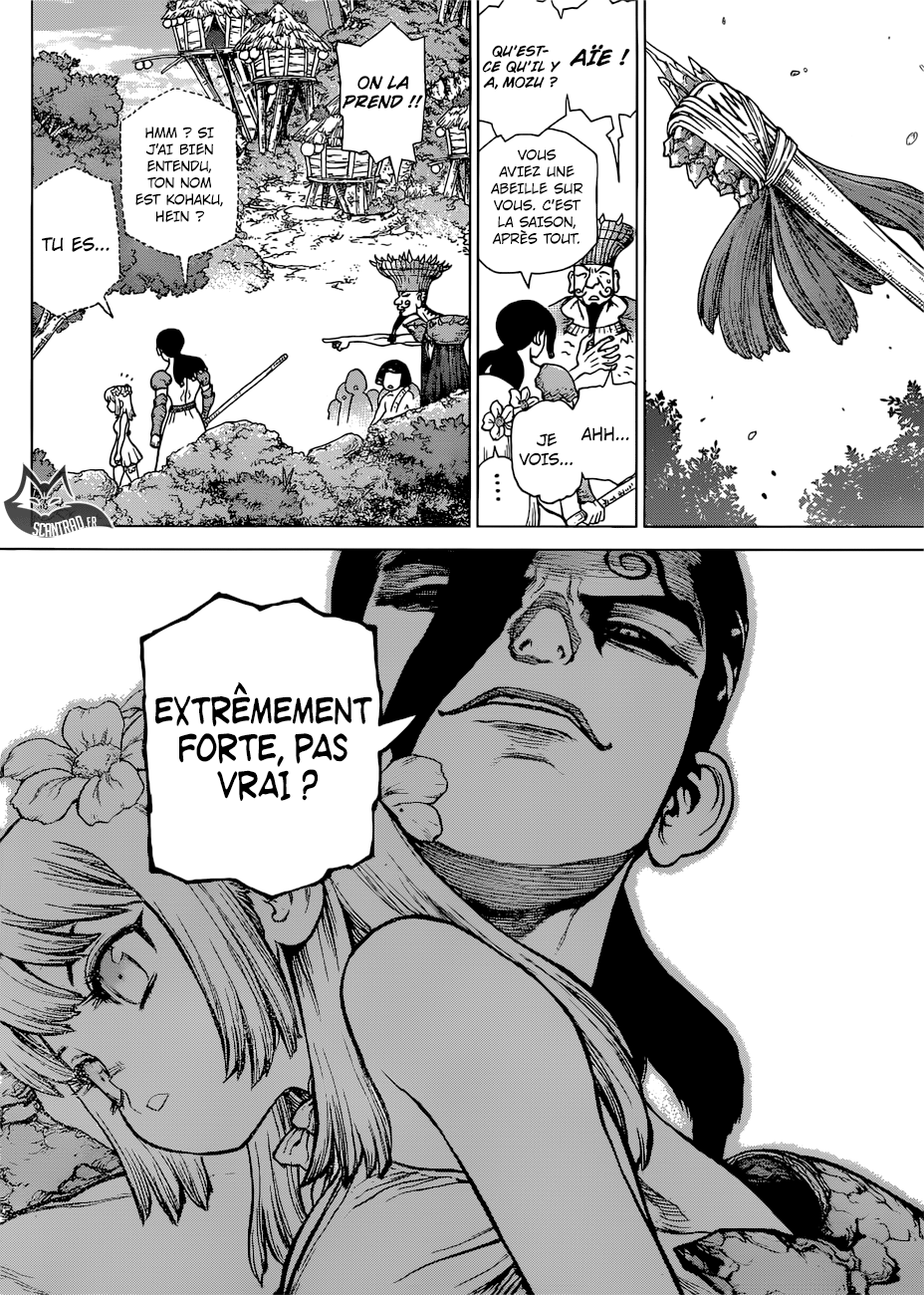 Read Dr Stone FR Manga Online