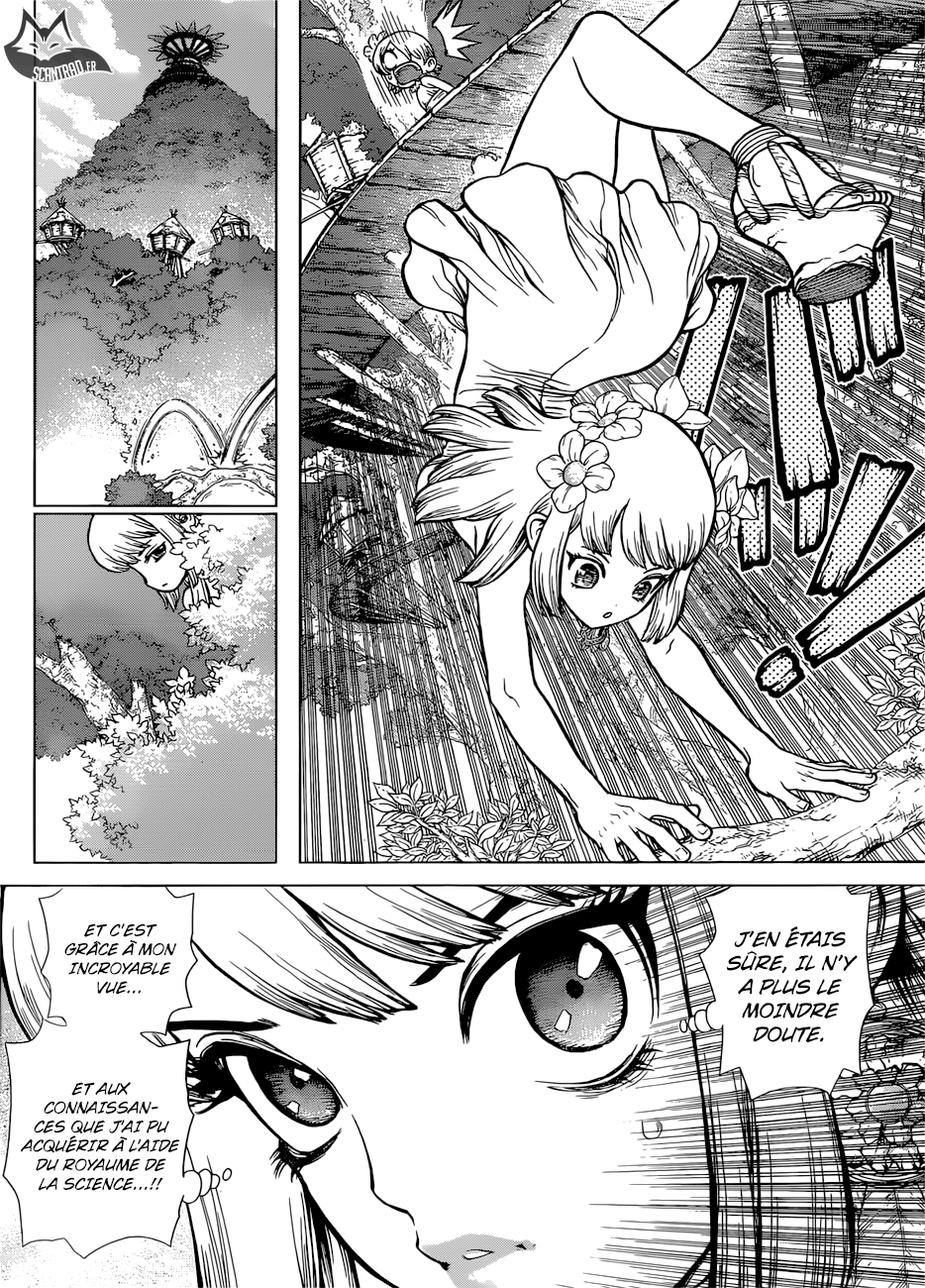 Read Dr Stone FR Manga Online