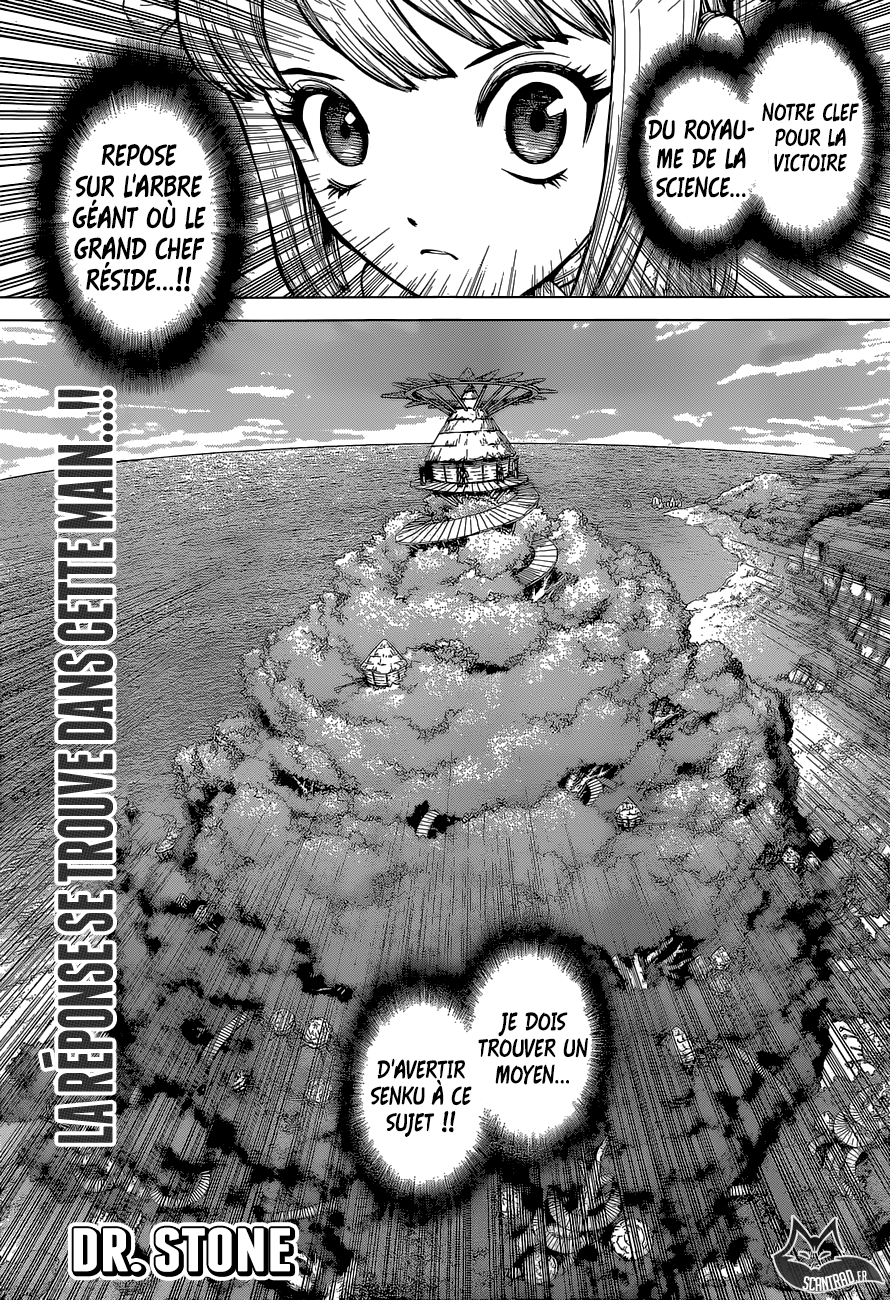 Read Dr Stone FR Manga Online