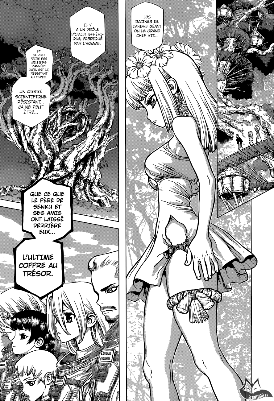 Read Dr Stone FR Manga Online