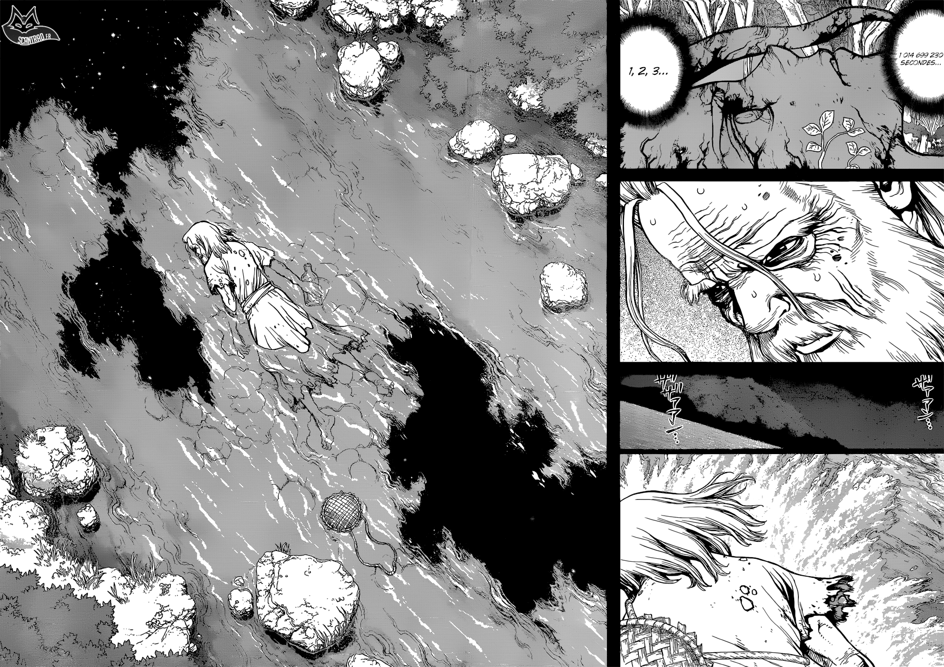 Read Dr Stone FR Manga Online