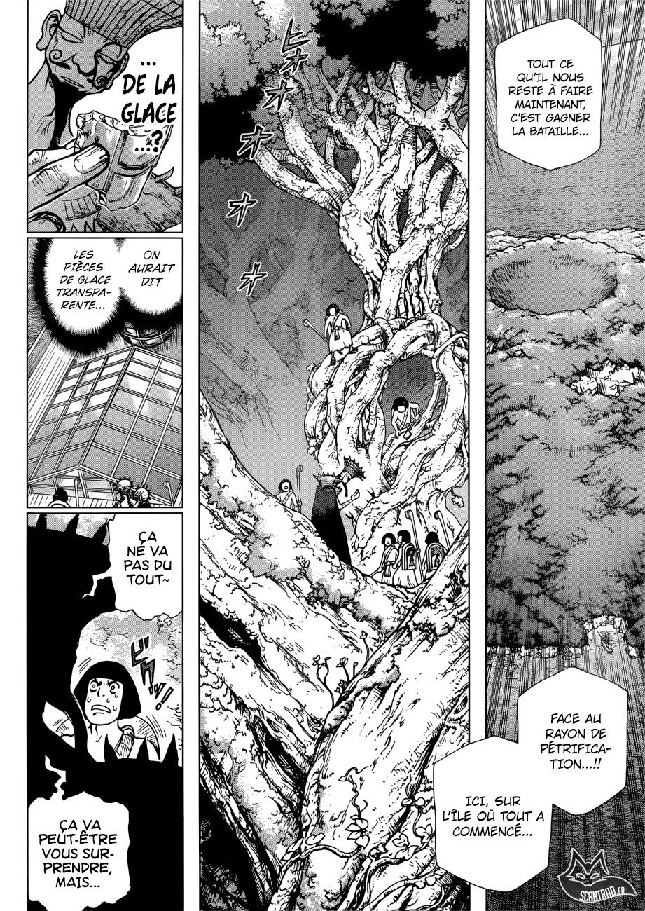 Read Dr Stone FR Manga Online