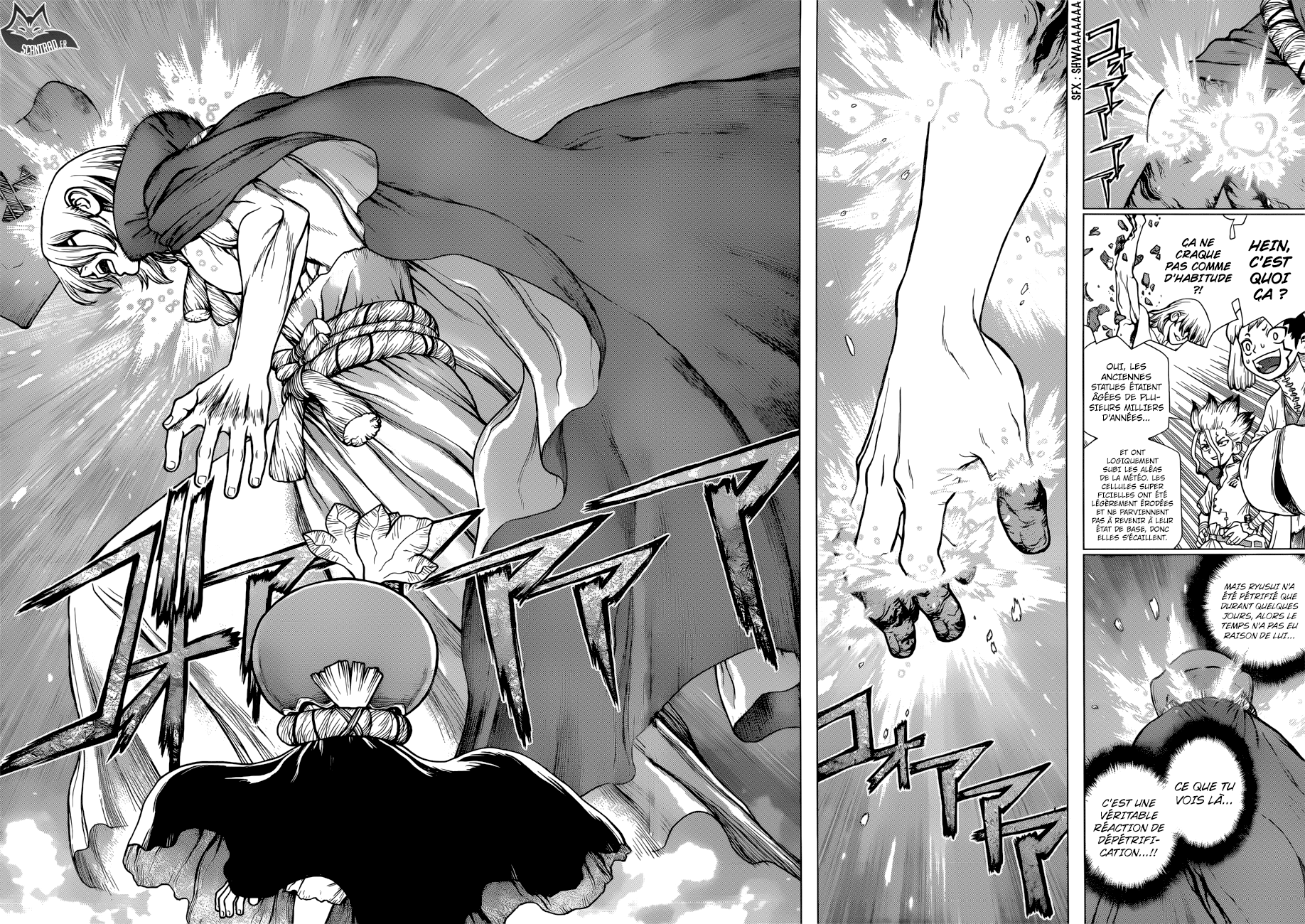 Read Dr Stone FR Manga Online
