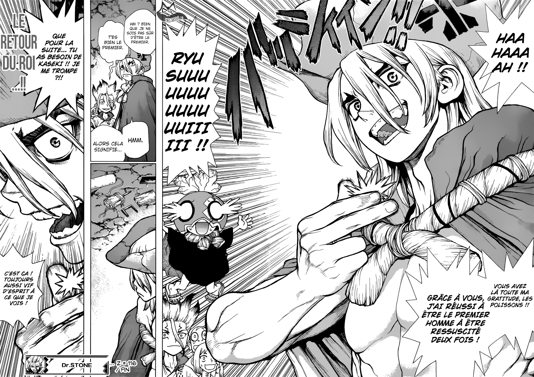 Read Dr Stone FR Manga Online