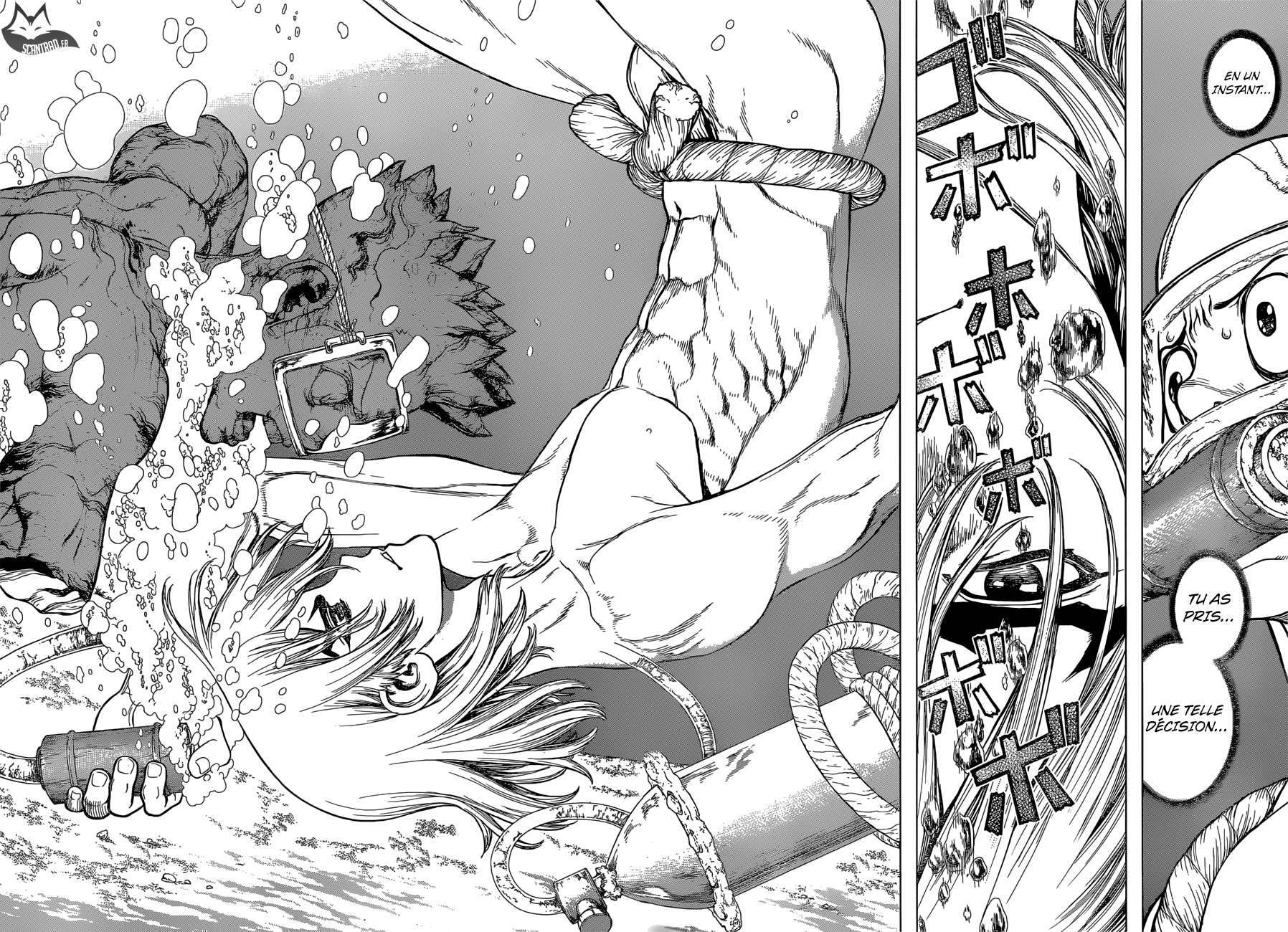 Read Dr Stone FR Manga Online