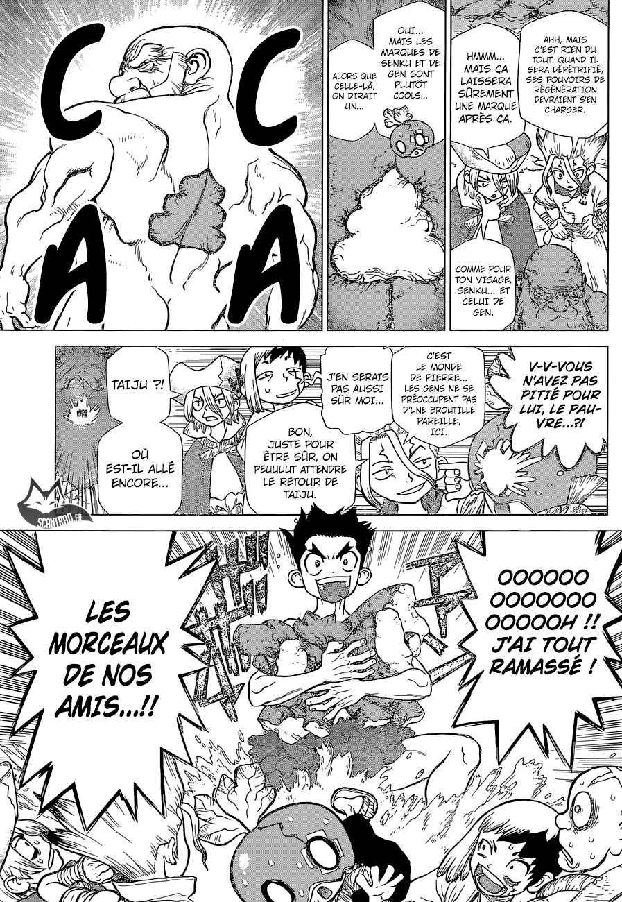Read Dr Stone FR Manga Online